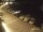Webcam in Medulin, 3.1 mi away