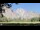 Webcam in the Yosemite National Park, California, 0.4 mi away