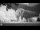 Webcam in Yosemite National Park, California, 106.5 km
