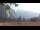 Webcam in the Yosemite National Park, California, 60.8 mi away