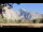 Webcam in Yosemite National Park, California, 157.7 km