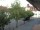 Webcam in Rimbach, 11.1 mi away