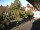 Webcam in Rimbach, 7.8 mi away