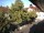 Webcam in Rimbach, 4.5 mi away