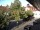 Webcam in Rimbach, 3.8 km entfernt
