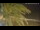 Webcam in Vinaros, 9.7 mi away