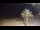 Webcam in Vinaros, 7.1 km entfernt