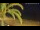 Webcam in Vinaros, 21.6 mi away