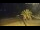 Webcam in Vinaros, 10.9 mi away