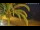 Webcam in Vinaros, 10.3 km