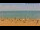 Webcam in Vinaros, 13.8 km