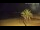 Webcam in Vinaros, 2.7 mi away