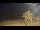 Webcam in Vinaros, 60.3 km entfernt