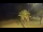 Webcam in Vinaros, 11.2 mi away