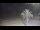 Webcam in Vinaros, 5.4 mi away