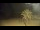 Webcam in Vinaros, 11.6 mi away