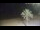 Webcam in Vinaros, 38.7 km