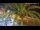 Webcam in Vinaros, 14.9 mi away