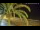 Webcam in Vinaros, 30.1 km entfernt