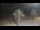 Webcam in Vinaros, 13.8 km entfernt