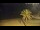 Webcam in Vinaros, 19.8 mi away