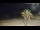 Webcam in Vinaros, 16.5 mi away