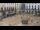 Webcam in Alicante, 12.2 mi away