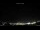 Webcam in Calpe, 7.9 mi away