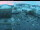 Webcam in Wuppertal, 14.9 km