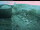 Webcam in Wuppertal, 3.5 mi away