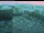 Webcam in Wuppertal, 14.9 km entfernt