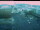 Webcam in Wuppertal, 5.7 mi away