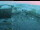 Webcam in Wuppertal, 0 mi away