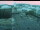 Webcam in Wuppertal, 8.9 mi away