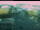 Webcam in Wuppertal, 0.1 km