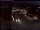Webcam in Wuppertal, 9.1 km