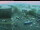 Webcam in Wuppertal, 11.9 km