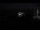 Webcam im Bucuti Beach Resort, 0.2 km entfernt