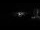 Webcam in Bucuti Beach Resort, 1.5 km