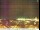Webcam in Spalato, 1.1 km
