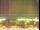 Webcam in Split, 1.1 km