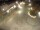 Webcam in Achern, 5.2 mi away