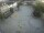 Webcam in Achern, 20.3 mi away