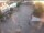 Webcam in Achern, 4.2 km