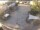 Webcam in Achern, 52.5 km