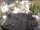 Webcam in Achern, 1.6 mi away