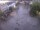 Webcam in Achern, 6.1 km