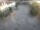 Webcam in Achern, 20.7 km entfernt
