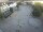 Webcam in Achern, 20.6 km
