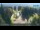 Webcam in Zelezna Ruda, 7.5 km